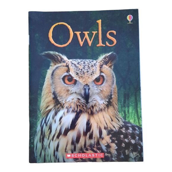 Scholastic Owls Book with Orange and Brown Cover - Picture 1 of 2